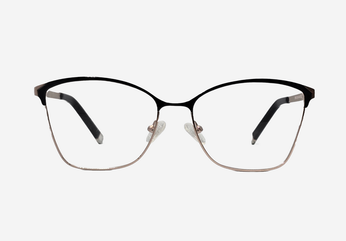 96143 NexGen® Frames